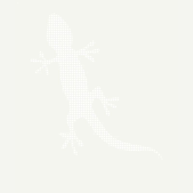 Lizard