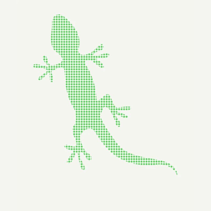 Lizard