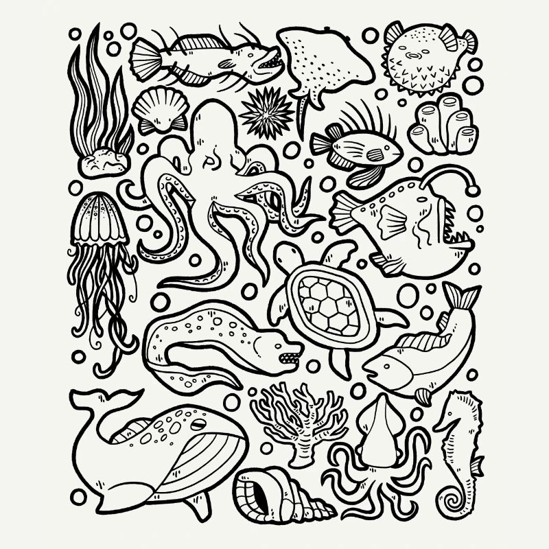 Deep Sea Fish Octopus Frogfish Lanternfish