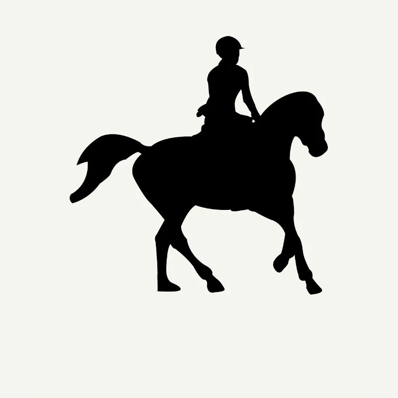 Équitation