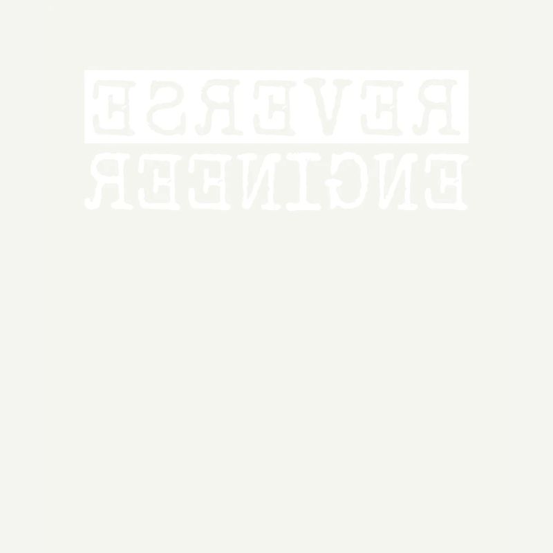 Reverse Engineer Softwareingenieur Developer