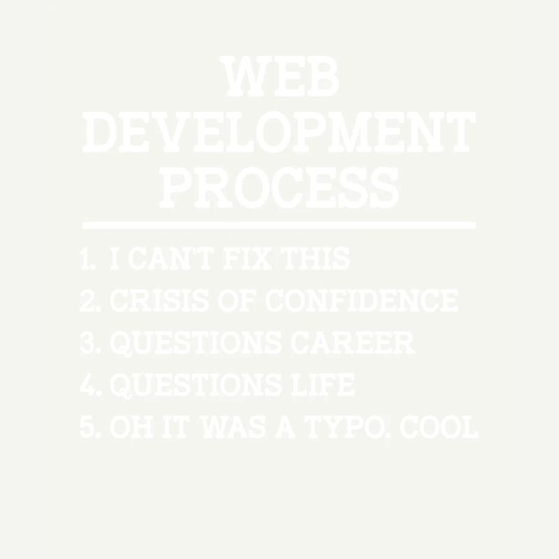 Développeur Web Développement de sites Web Programmeur informatique