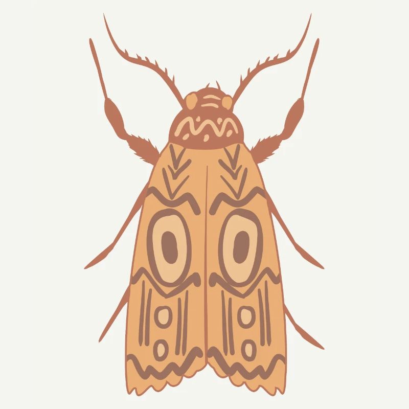 Aboriginal