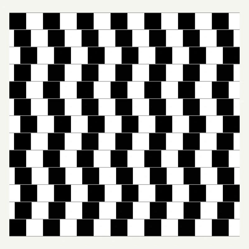 Optical illusion