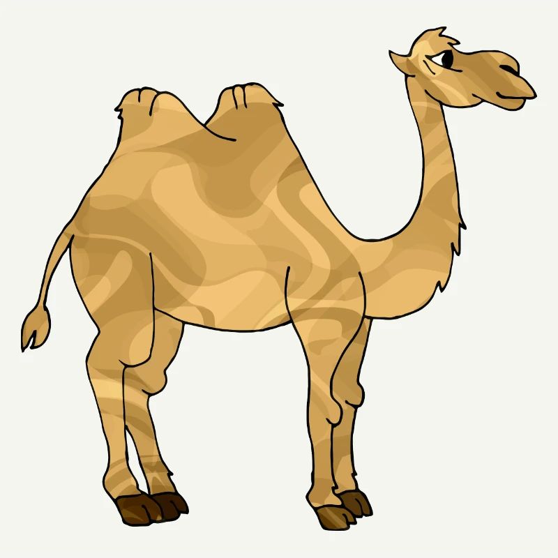 Kamel