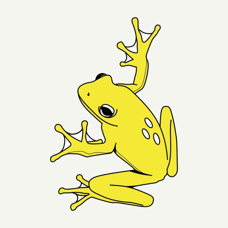 Grenouille jaune tropicale