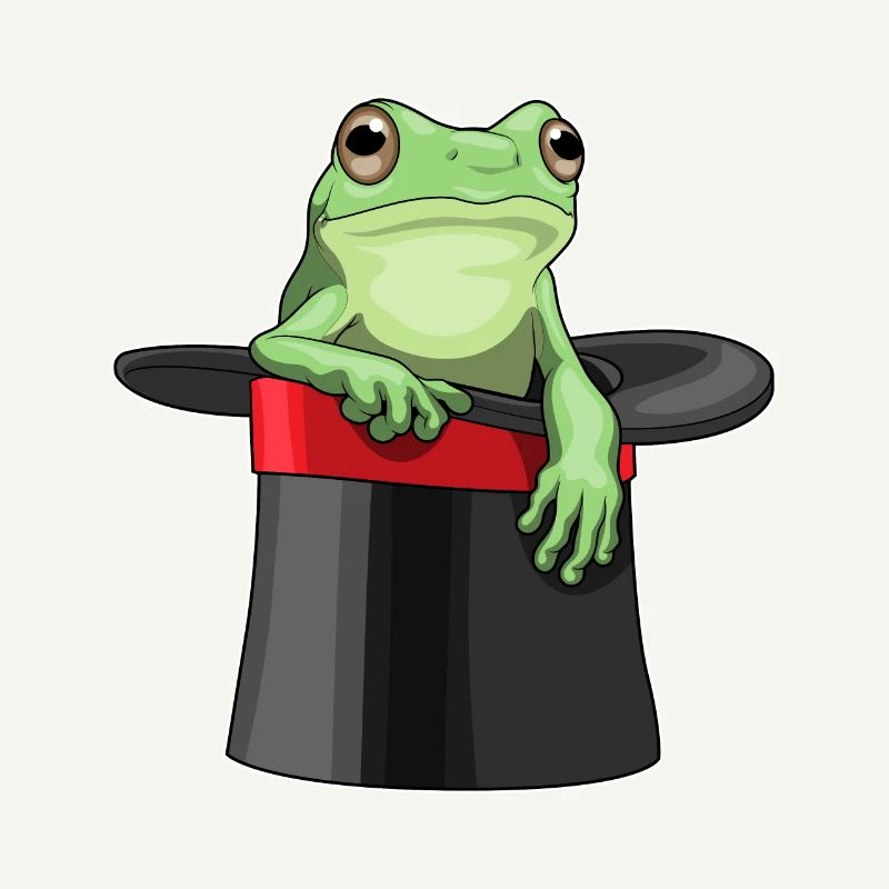Frog Wizard Top Hat