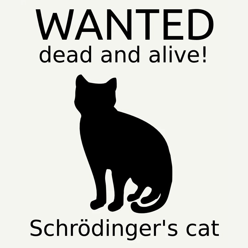 Schrödingers Katze
