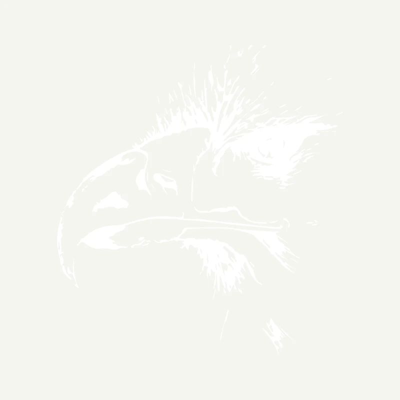 Aigle. Eagle