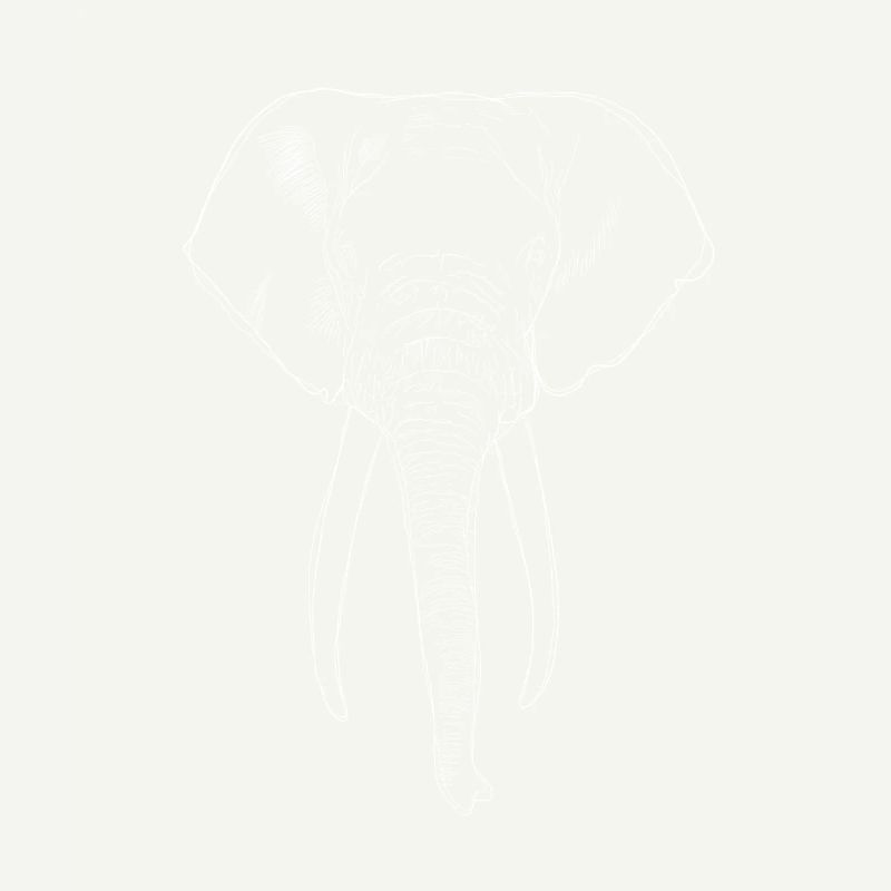 Éléphant