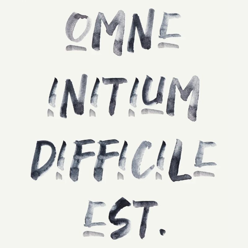 all beginning is difficult Latin quotation scripture