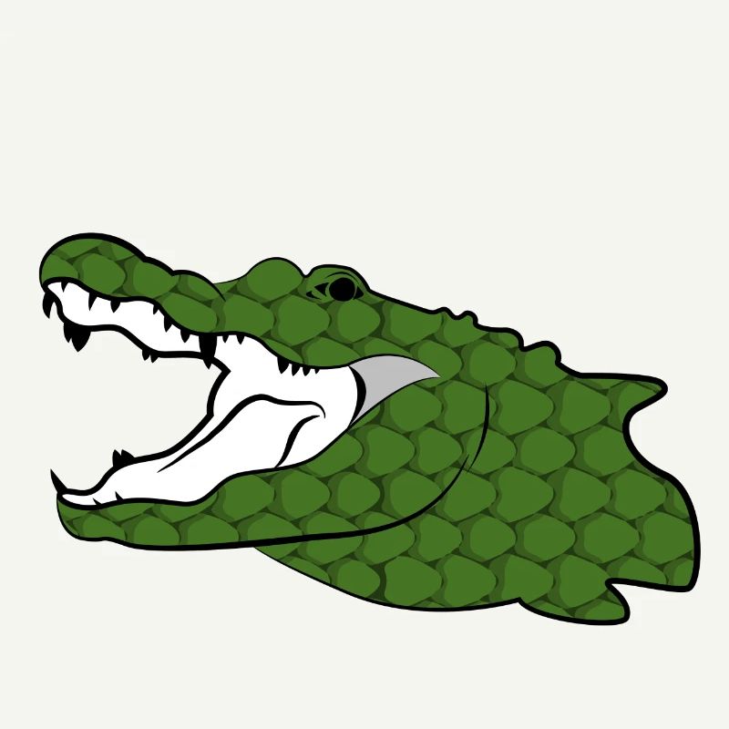 Crocodile Nil Crocodile Alligator Reptile Cadeau