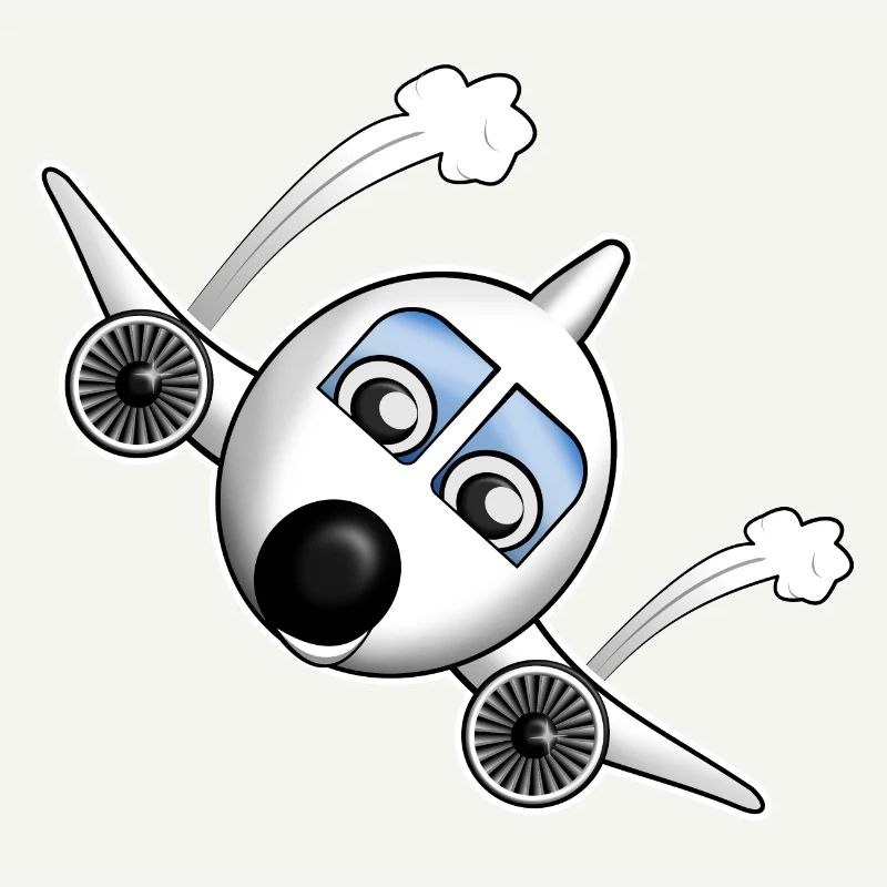 Plane with face