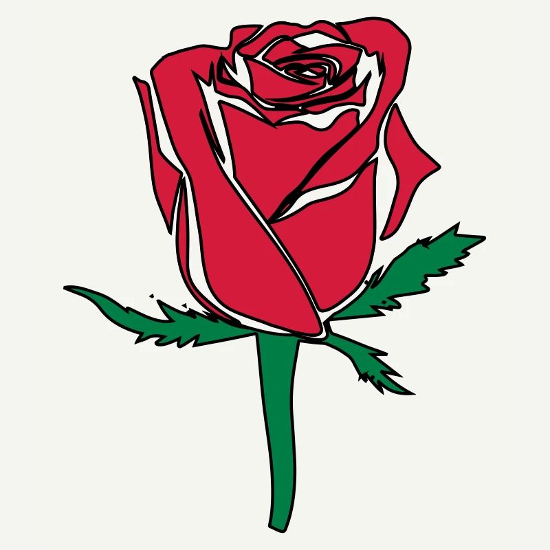 fleur rose