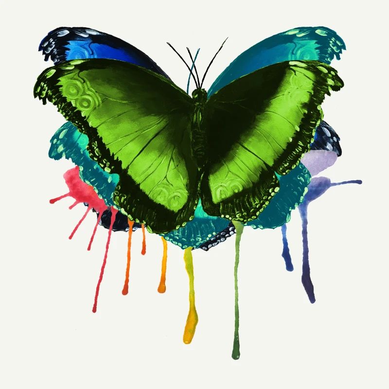 Schmetterling bunt regenbogen fly von Mrs Erdnuss