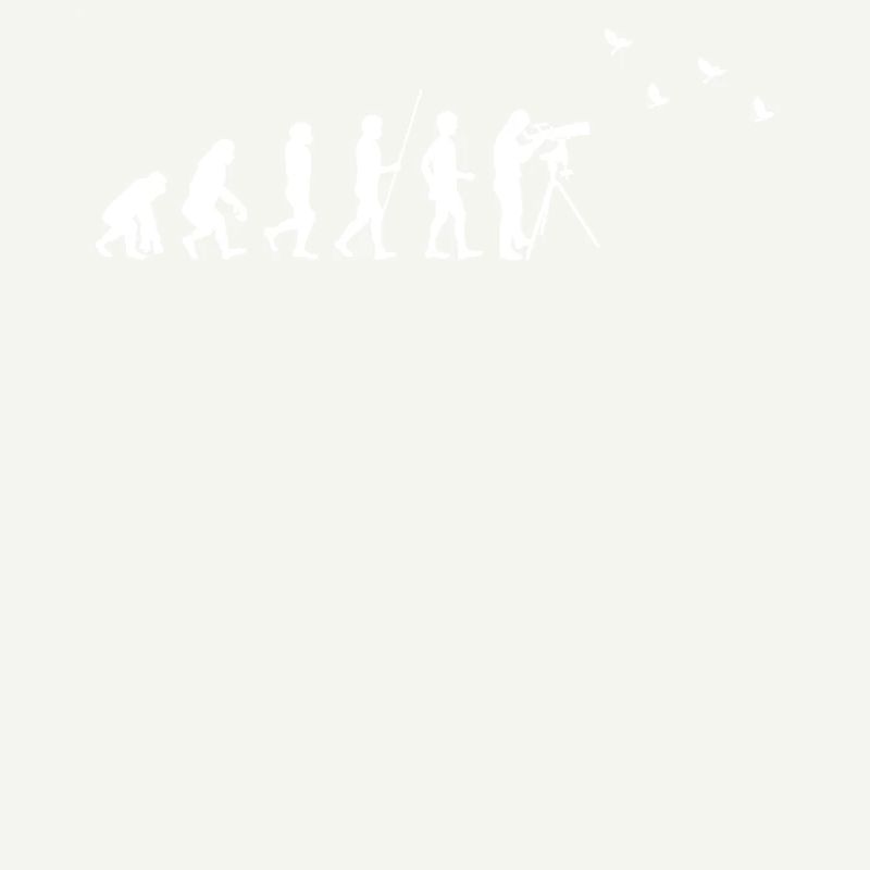 Birdwatching - Vogelbeobachtung - Evolution - fun