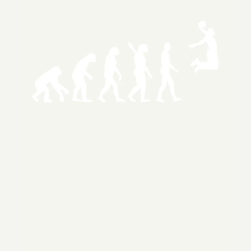 Evolution du basket
