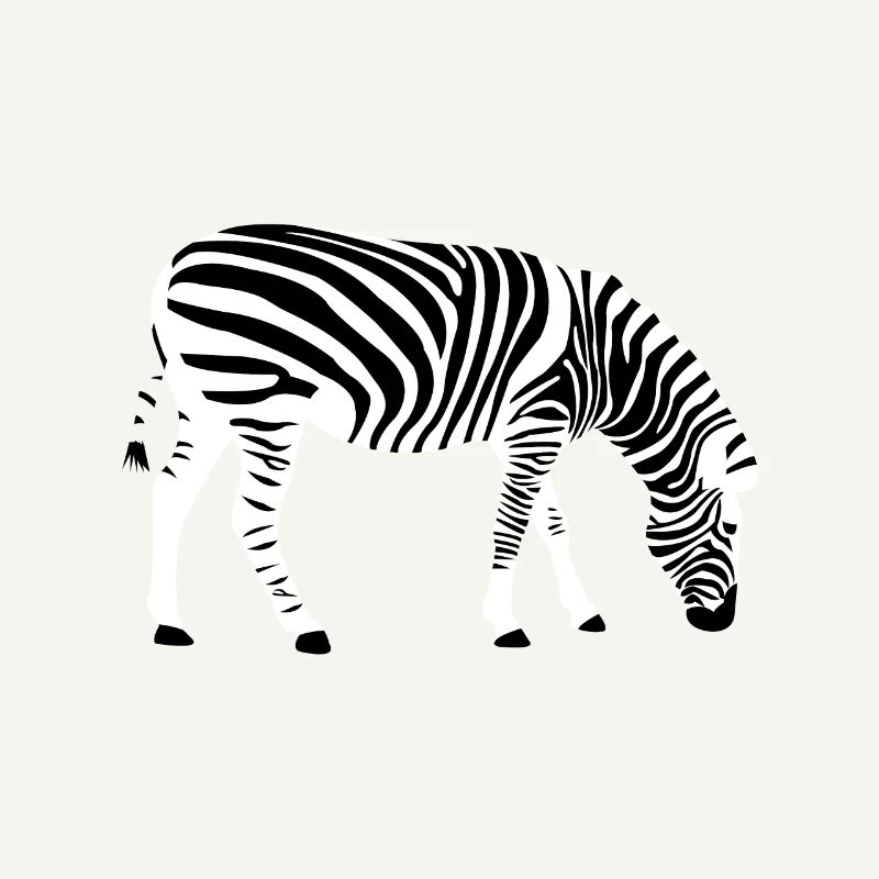 zebra