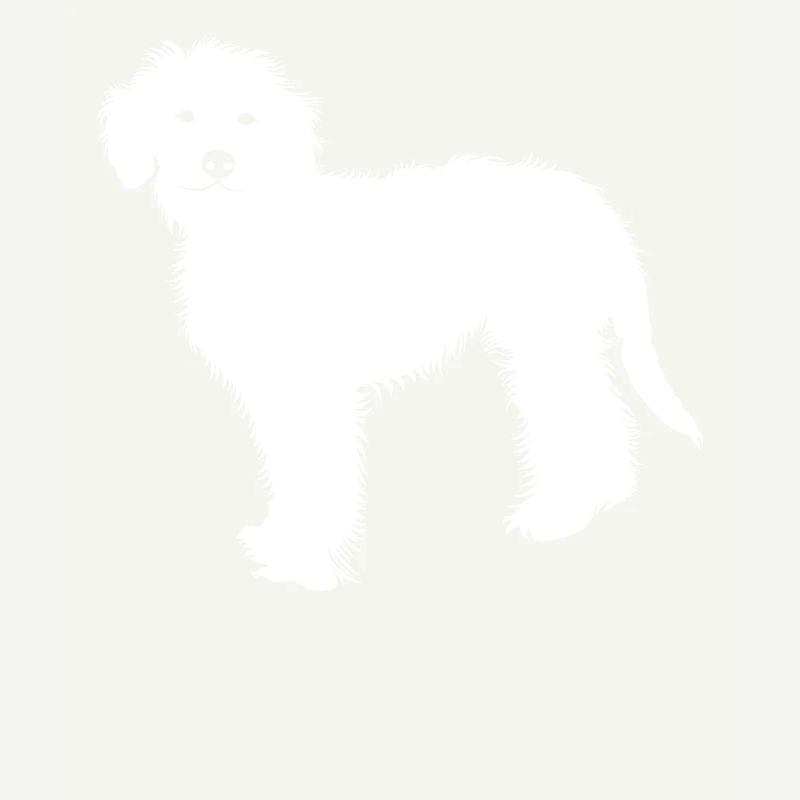 Goldendoodle