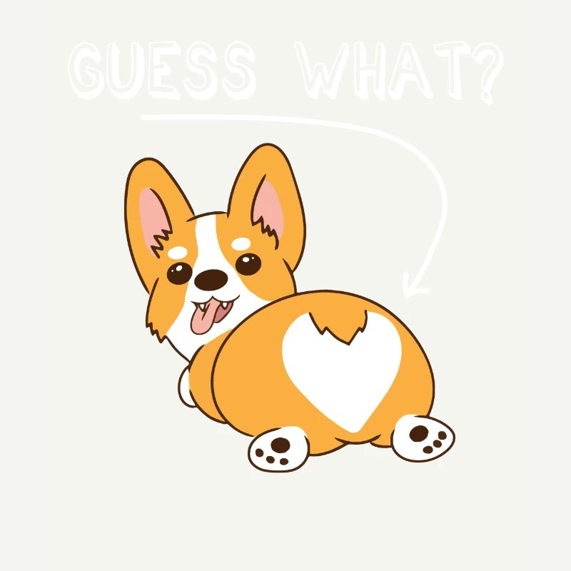Corgi