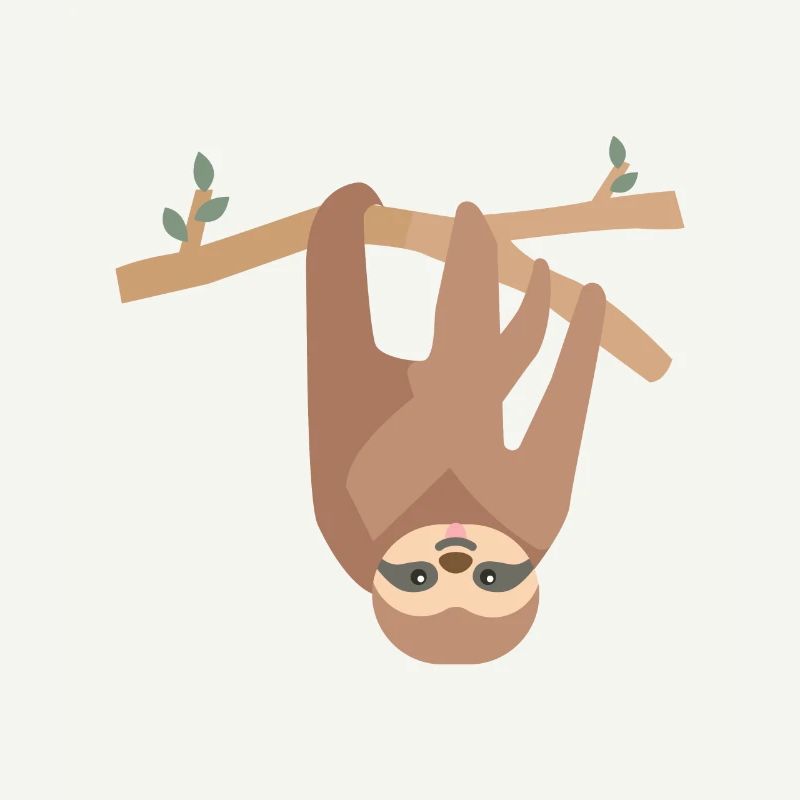 sloth