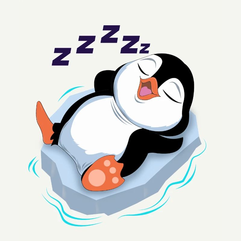 sleeping penguin tired time out break Antarctica