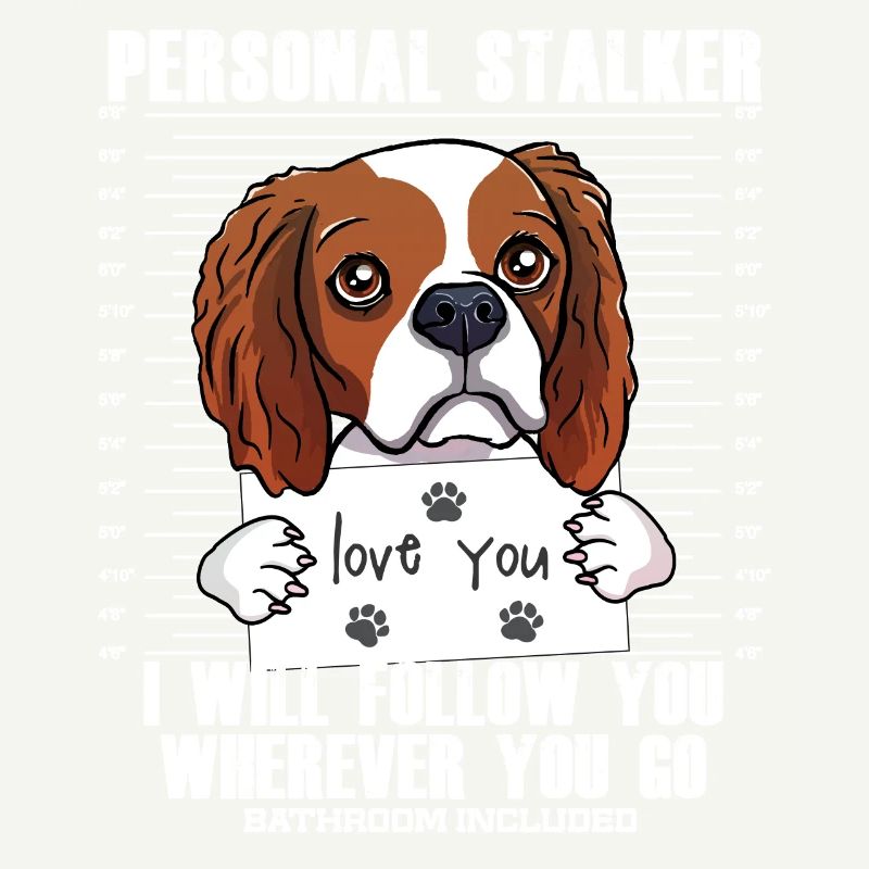 Visage drôle de Cavalier King Charles Spaniel