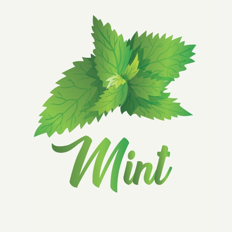 Menthe