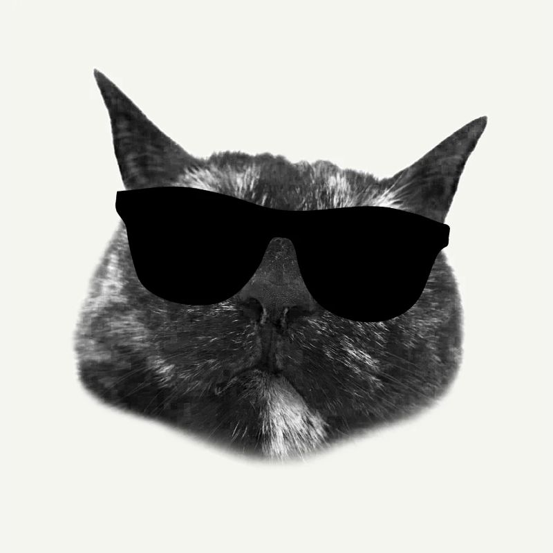Cool Cat