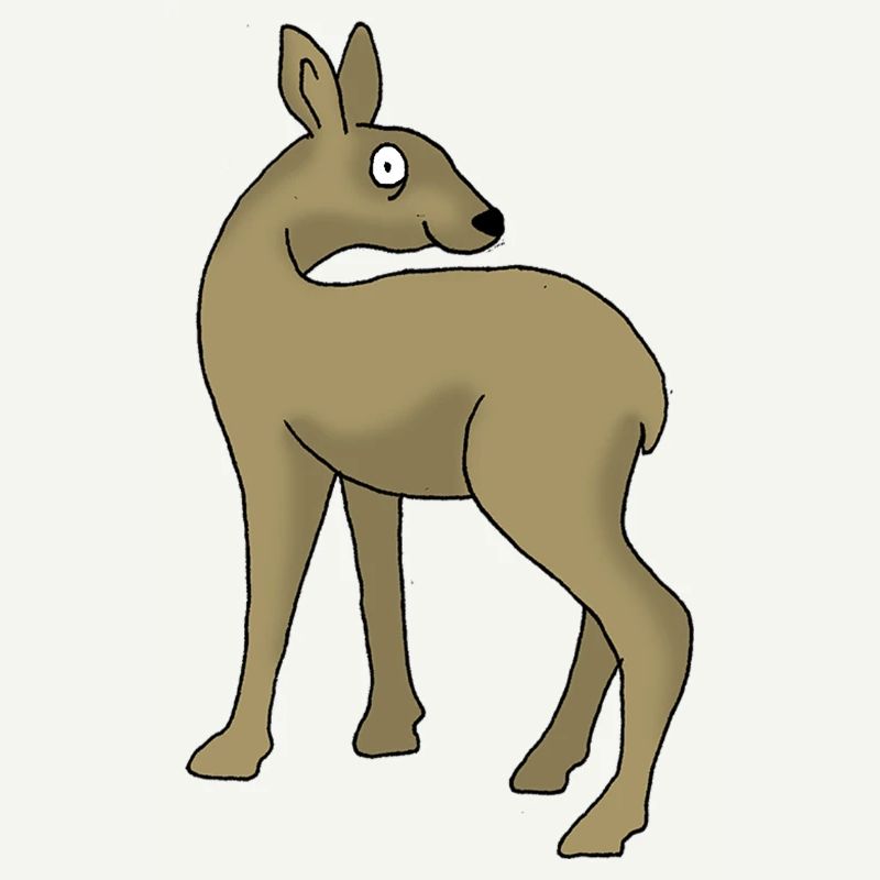 Roe deer