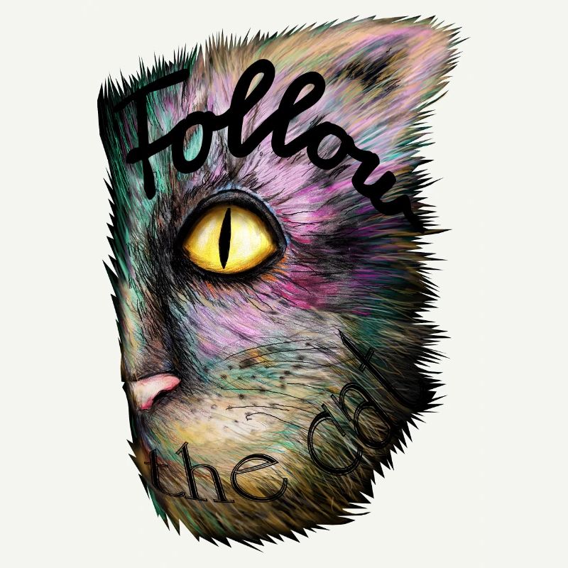 Magic Cat
