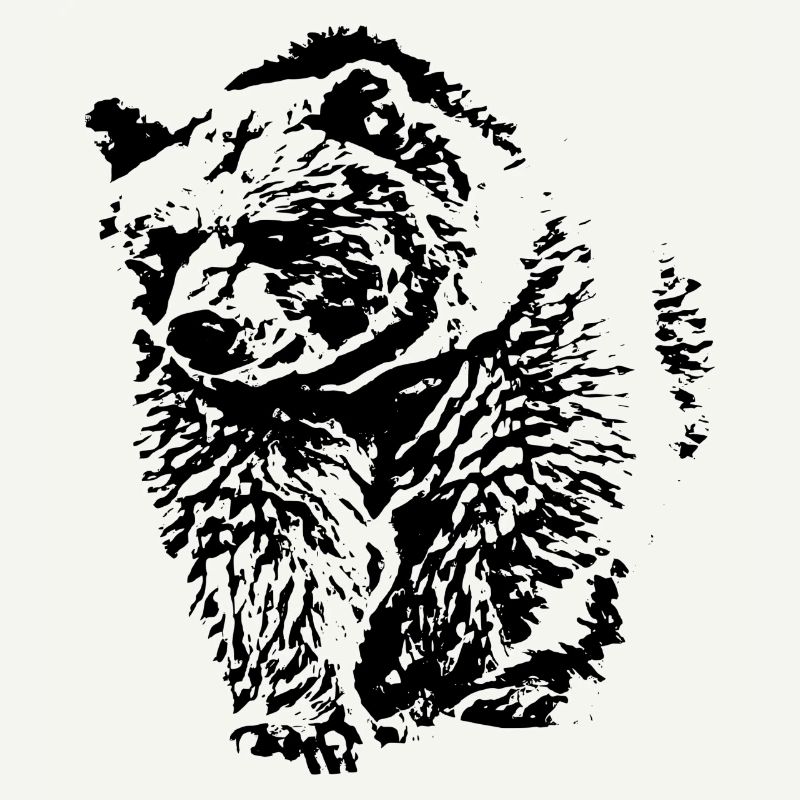 bear