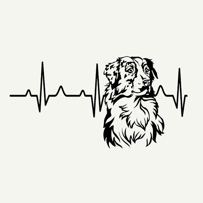 Australian Shepherd