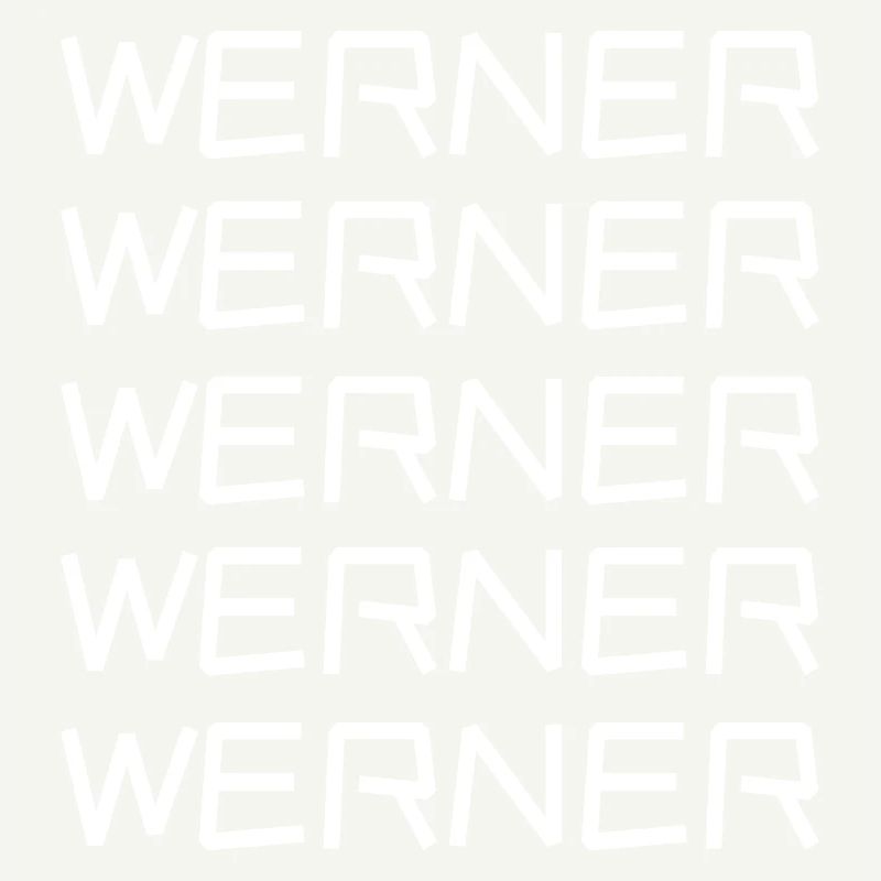 Bachelor Werner