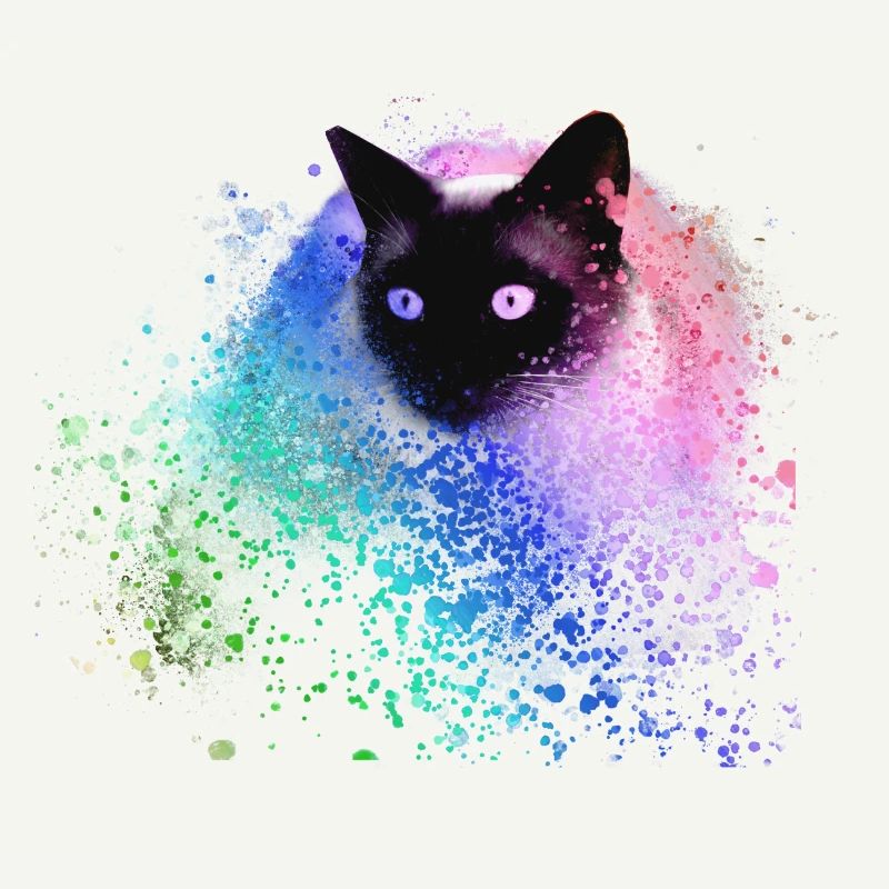 Chat siamois,Coloré,Graffit,iPainting Art,Cat,Vert