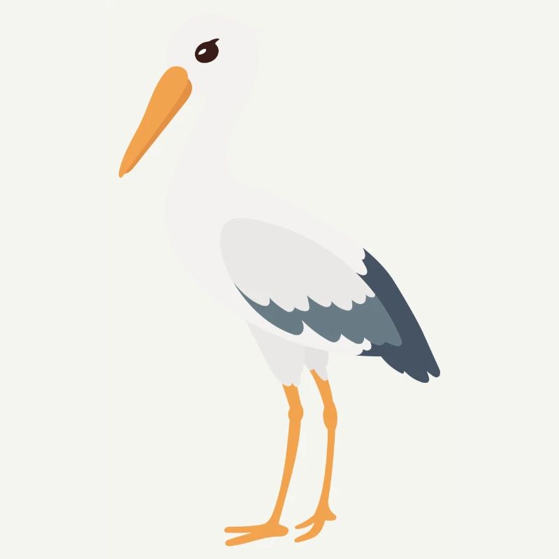 cigogne