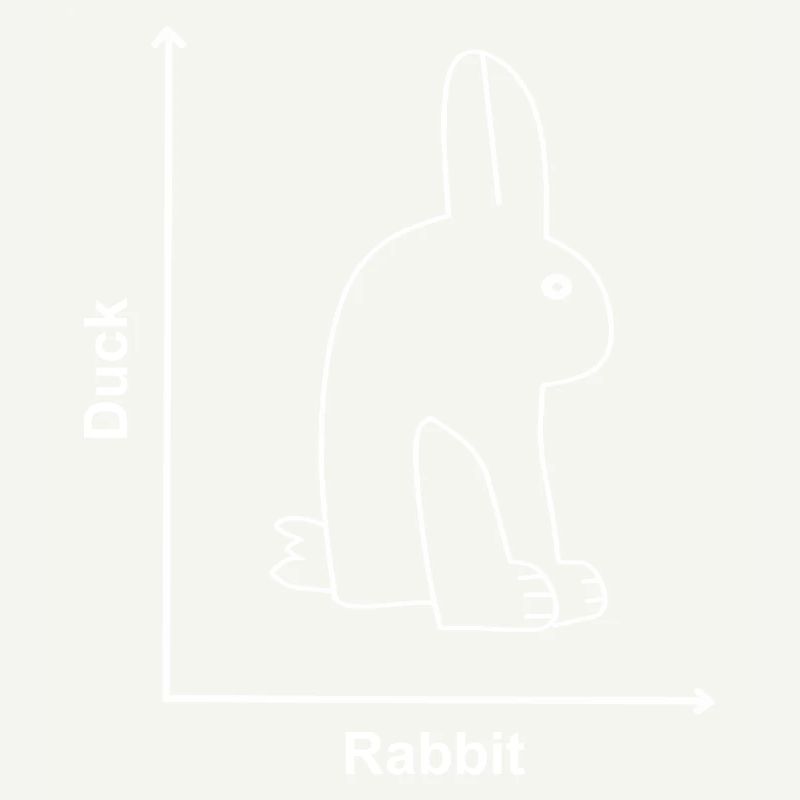 Rabbit Duck Funny Animals