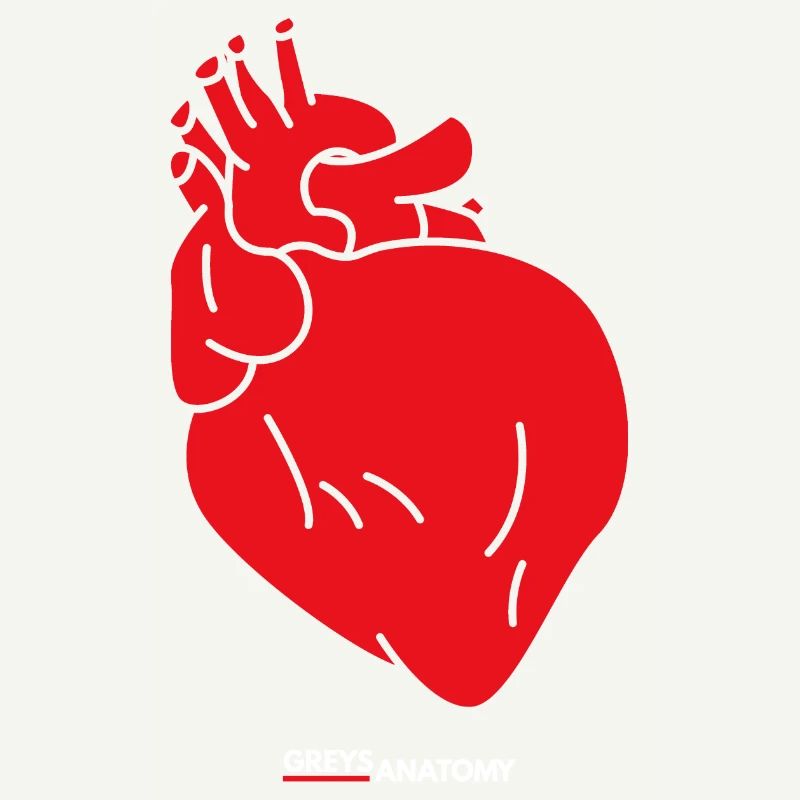 Anatomie greys