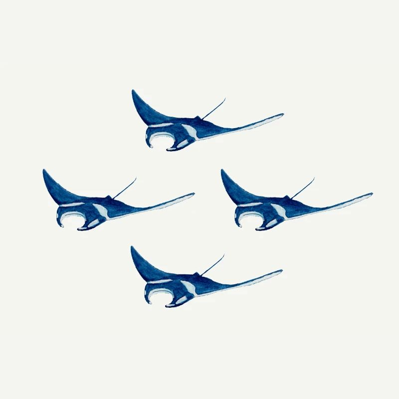 4 Mantarochen