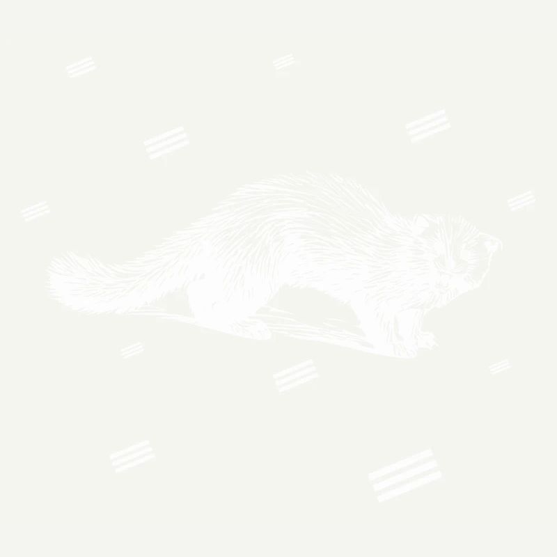 Rat - rongeur