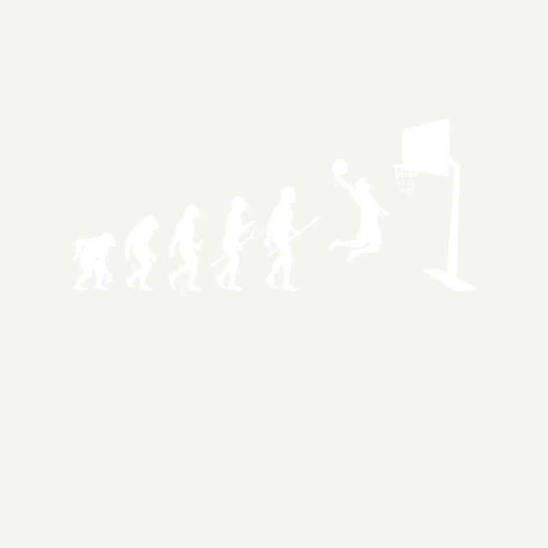 Basketball Evolution