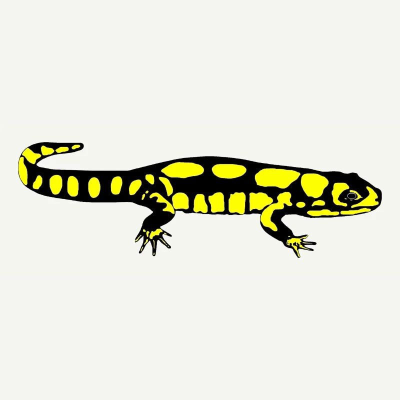 Salamander