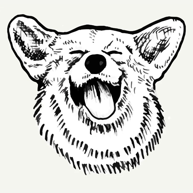 Corgie