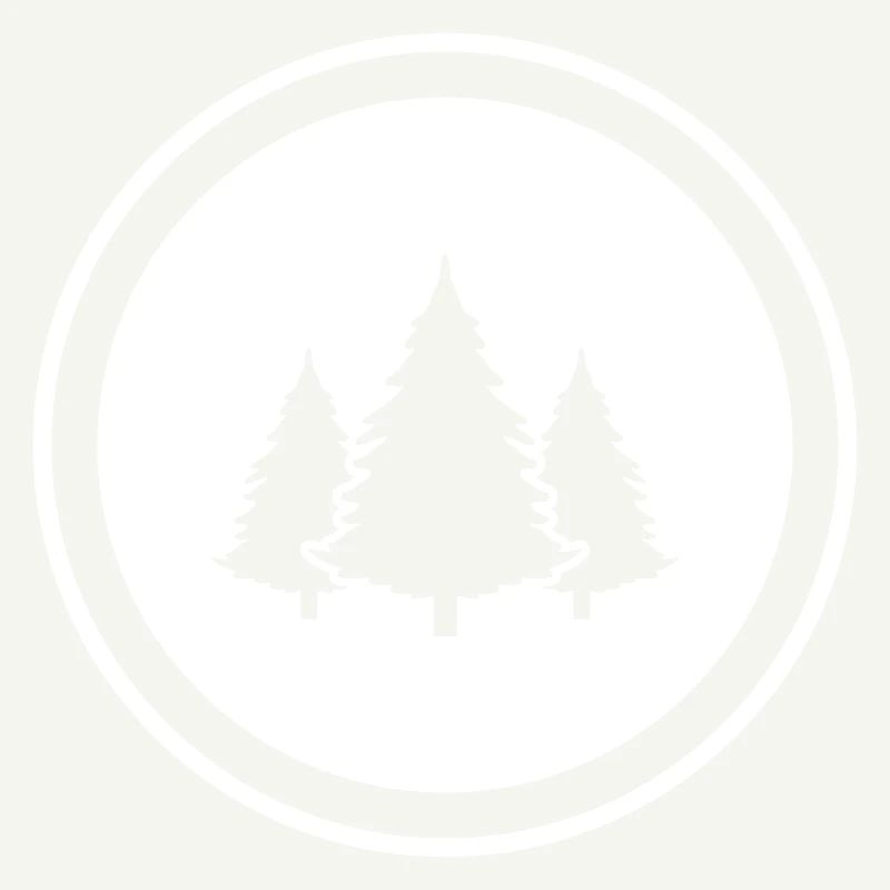 Tree Fir Forest
