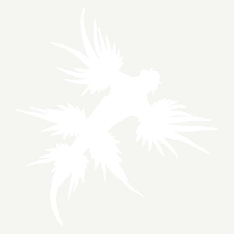 Glaucus Atlanticus Blaue Ozeanschnecke Nudibranch