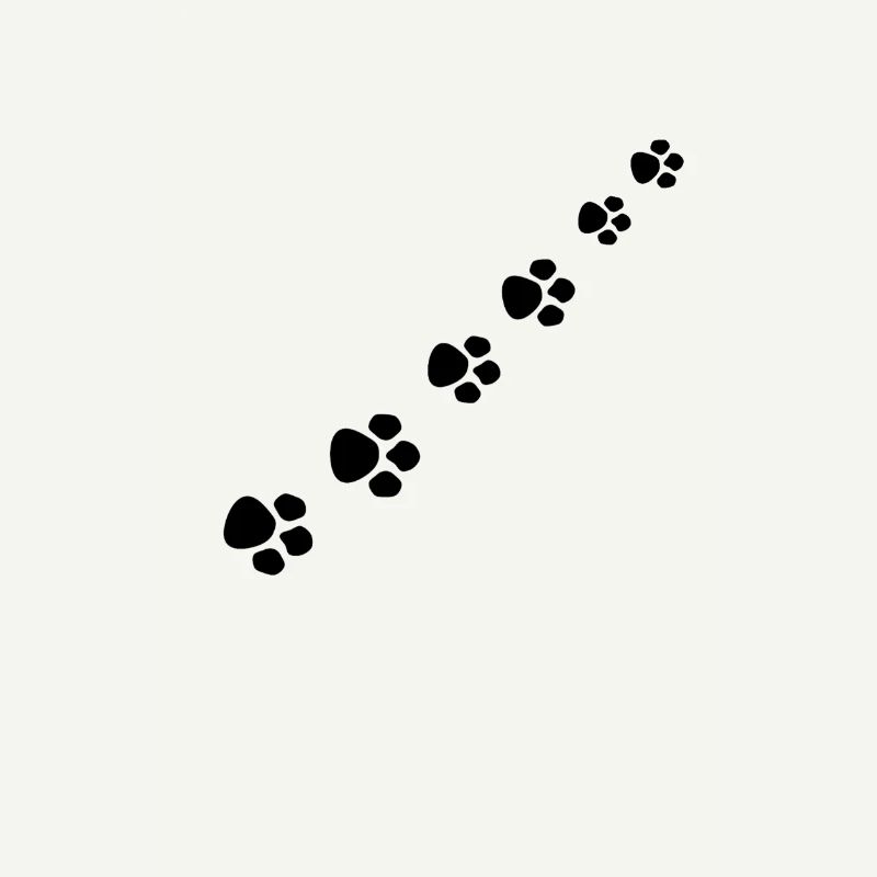 Patte de chat