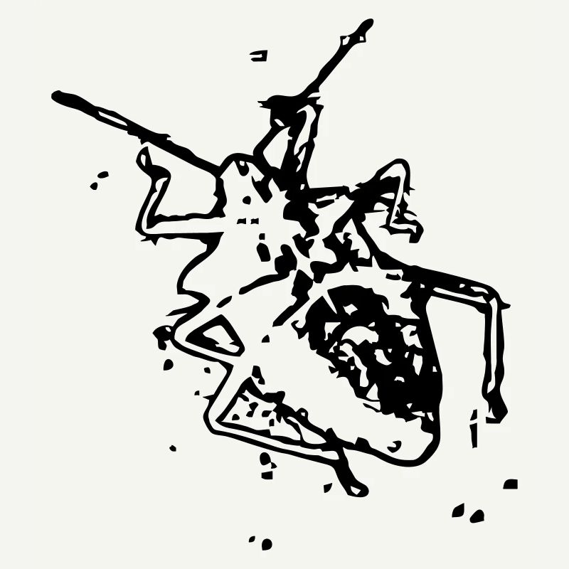 Dead Bug / Dead Bed Bug Wantz (1c)