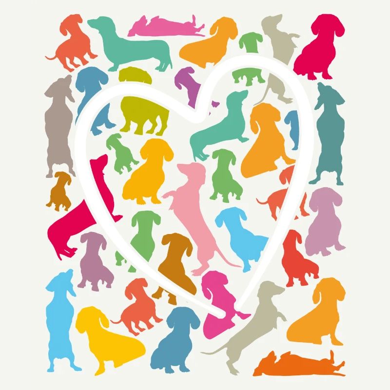 beaucoup de teckels colorés et de grands cœurs