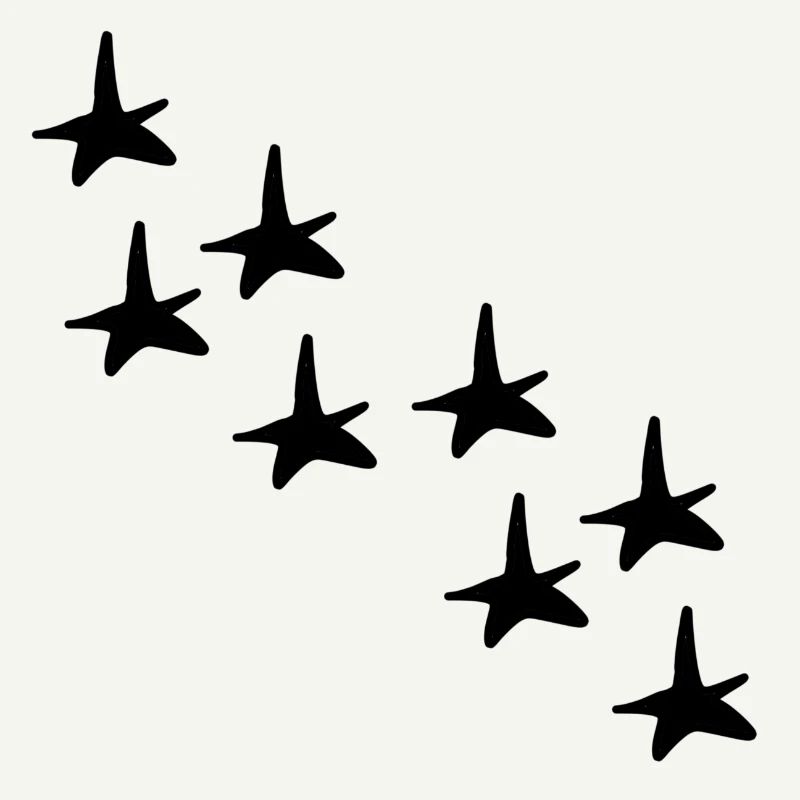 Stars Star Pattern Shapes Icon