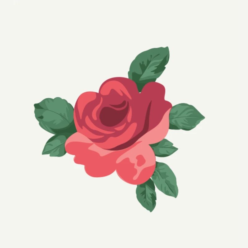 Rose